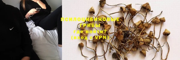 шишки Алексин