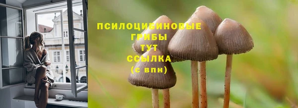 синтетический гашиш Алексеевка