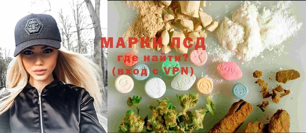 apvp Алзамай