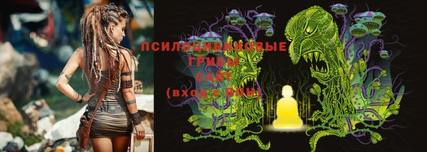 синтетический гашиш Алексеевка