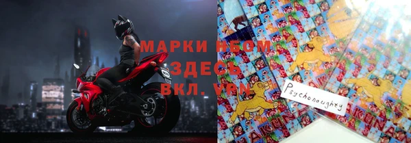 apvp Алзамай