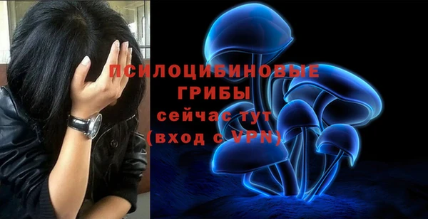 apvp Алзамай